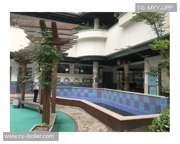 杭州篮球队逆袭之旅的真实记录与背后故事探秘